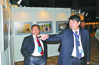 ��������������ٻ�ԭ���������������л߰���