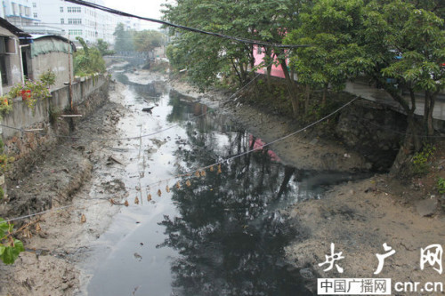 温州瓯江污染严重居民称比马桶水更脏更臭(图)