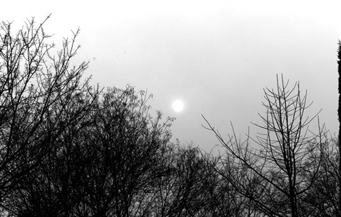 ɽ���󲿷ֵ�����������Ⱦ������������9��