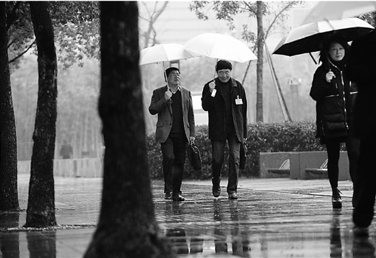 金华政协会议遇雨天委员带雨伞公文包步行参会