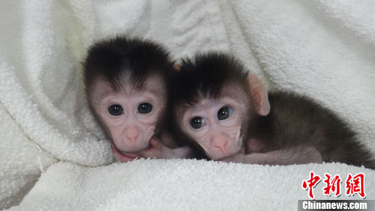 �й���ѧ�һ������������������������ε�С��