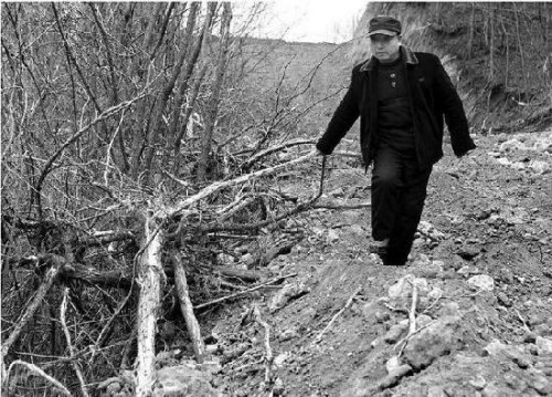 陕西村庄千株林木一夜被毁林地挖出200米土路