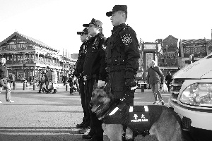 �����ص������ǹЯȮѲ�߽���̬��