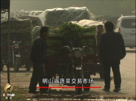 ������Ĳ�۲˷���һ�����ë��ũ�ưٷְٰ׸�