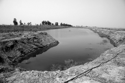 天津七里海湿地苇田被挖土破坏村民维权被刑拘