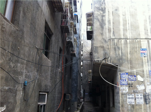 ���������������ƽ����¥�����������̶�����·