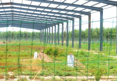 北京一村庄集体土地建大棚围墓地政府称项目合法