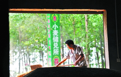 中国每年损失粮食高达700亿斤隐性浪费不容低估