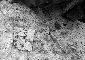 ����Ů��������������լ��粻�ñ������ǻҺ�