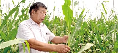 ����3000Ķ�ƺ�̲�����������׵ر�����ʳ��ͼ��