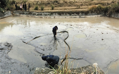 湖南铝企偷埋近千吨含氟废料村民不敢吃自种大米