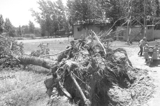 ɽ����ǿ����������������������ǽ������·��