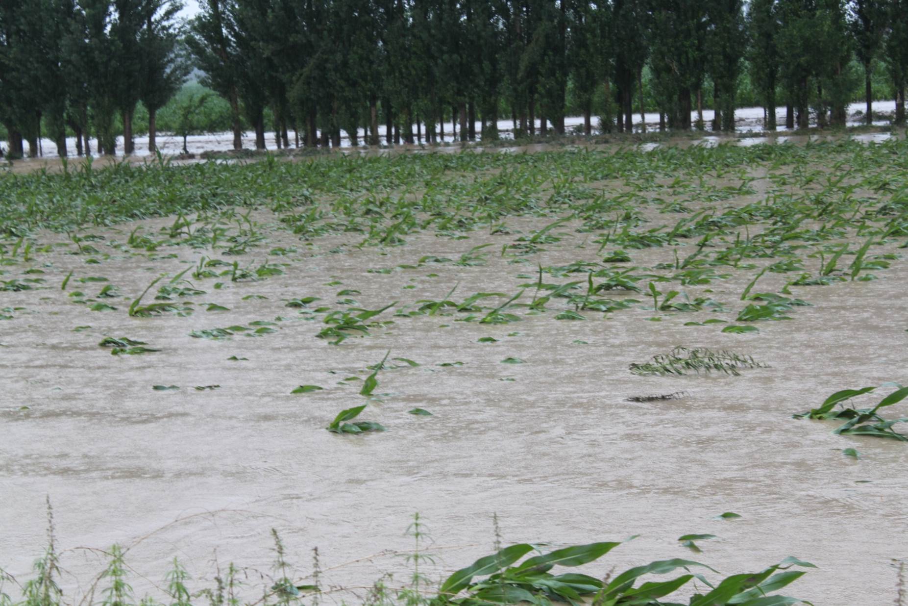 �½������ֺ���9.9��������1500��䷿�ݵ���