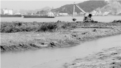 浙江台州近千亩泄洪滩被改建养殖塘沿江居民担忧