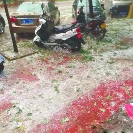 �Ĵ���ɽ����30�겻�������������������������