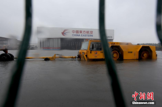 “天鹅”送暴雨上海变“海上”
