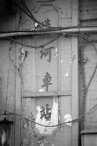 ���������վȱ����������