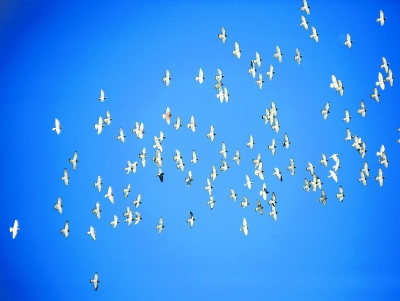 �����������������������˻����Ϳ���ͨ��