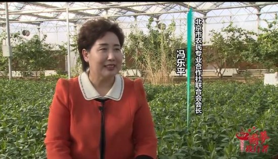 ȫ���˴��������ƽ�����������ϵص��¸���·��