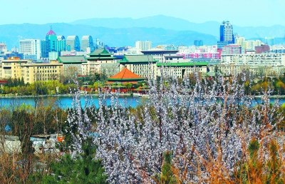 ����3��16����ʽ�봺��������ǰ����£�ͼ��