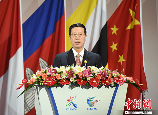 第13届中国—东盟博览会开幕张高丽提扩大共识合作六点建议