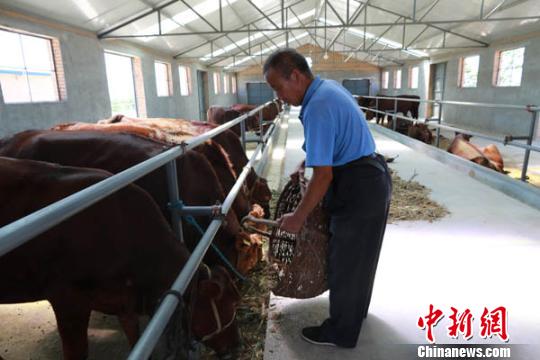 官方:鼓励农民半农半读方式就近就地接受职业教育