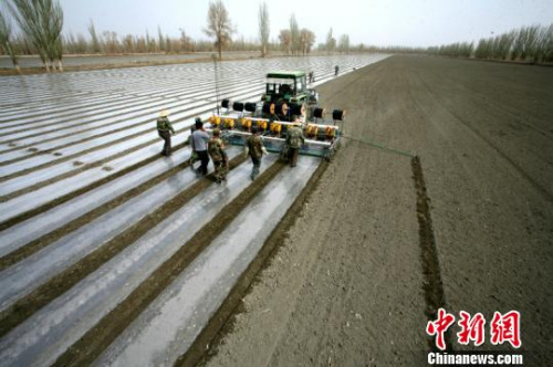 �й���������ʮ���塱ĩ��ɫ���ظ����ʴ�30%����