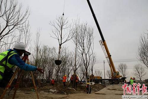 ����һ�꣺�������ˡ�˼����δ�ˡ��۰��š�