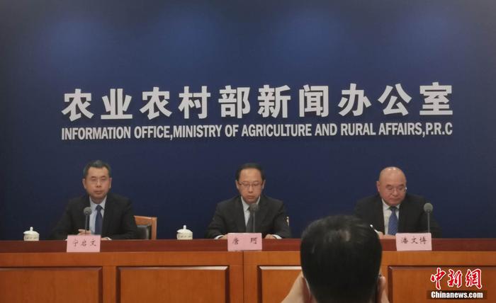 农业农村部:我国粮价稳中有涨玉米价格涨幅较为明显