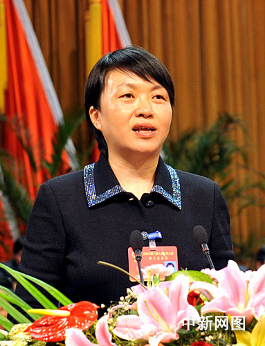 王燕文当选扬州市人大主任承诺接受人民监督图