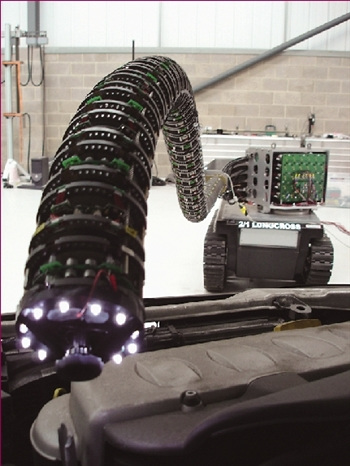 机械蛇擅长核安检图