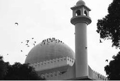 ��۾��������£�ͼ��