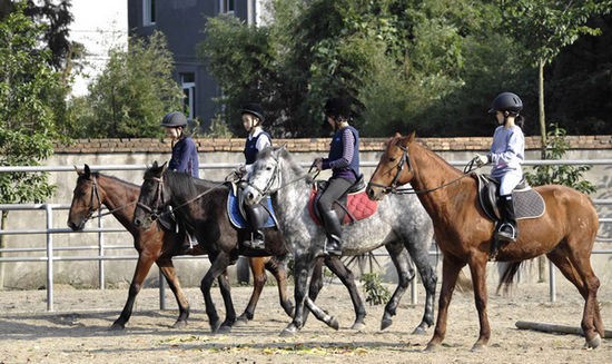 港媒:贵族运动平民会费北京中产子弟掀骑马热