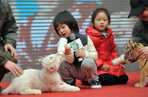 港报:内地2月电影票房创新高开启黄金时代