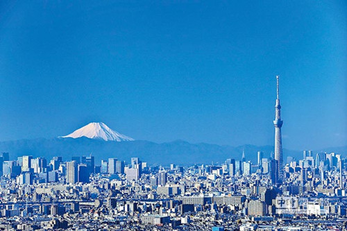 ̨�����ձ�����ҵ��Ϯ��������������ѧ��������