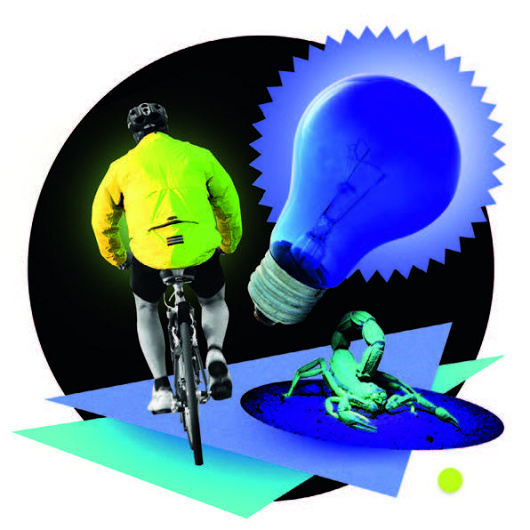 ������ʿ��ɳĮ��Ы�Ĺ�ѧ���