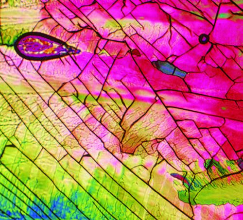 ������������