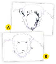 �����ͼ�����������