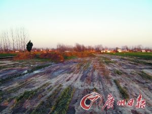 �����ϲ���Ϊ��������ǿ�����ؽ����Ķ