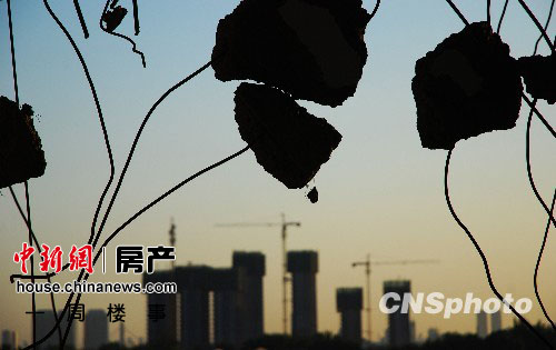 点图查看下一页