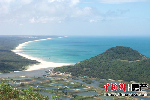 ��ï���ϵ�һ�������������µġ�������������