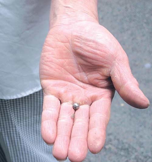 图为枪击玻璃门的气枪子弹.