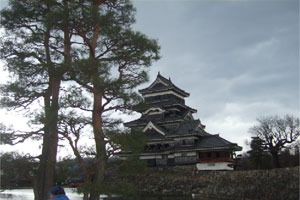 ��Ұ�������ձ���ɫ����