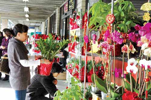 保持春节传统习俗美国华人争抢“年货”过龙年