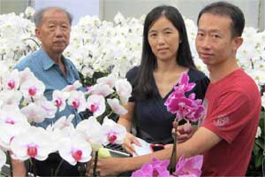 �Ϻ�ϱ�����¼��¾�Ӫ����:�̿��ѧ������ɹ����