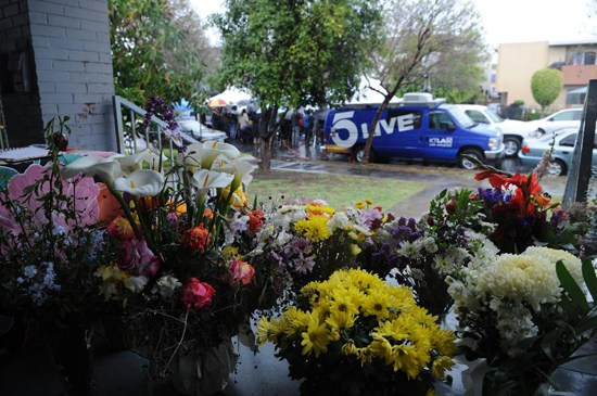 ��ɼ���������й���ѧ�������ֳ��������ŷ����ᣨ5��