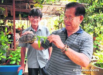 新加坡华人老师傅乐当都市农夫打造“百草园”