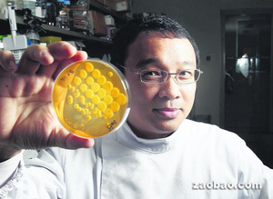 研究真菌15年新加坡华人教授获“总统科学奖”