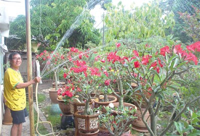 3����Ȥ�����д������������Ц�԰�ζ������ͼ��