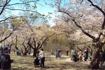 �й���½�ο͸����ô�۹��������������������